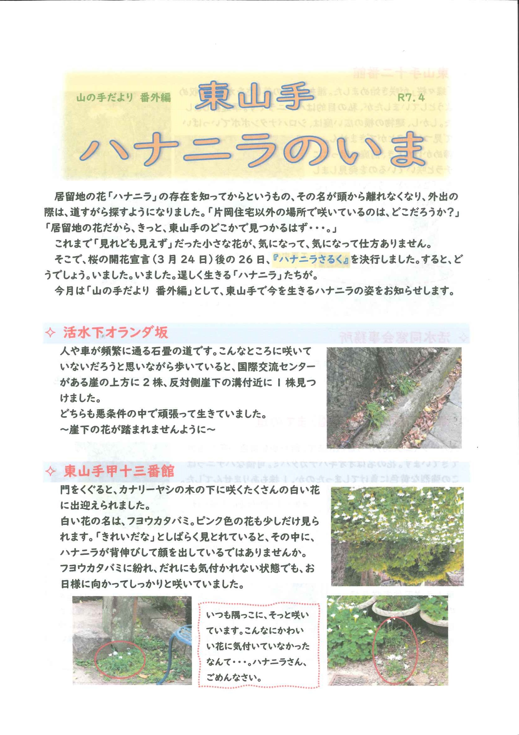 山の手だより（令和７年４月　番外編）